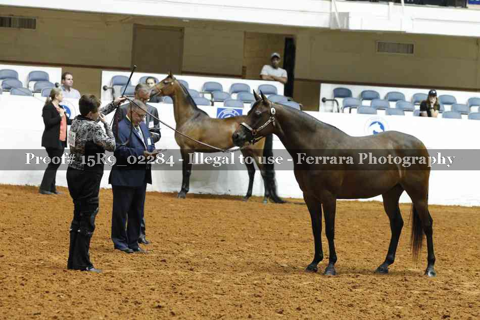 Proof 15R9_02284