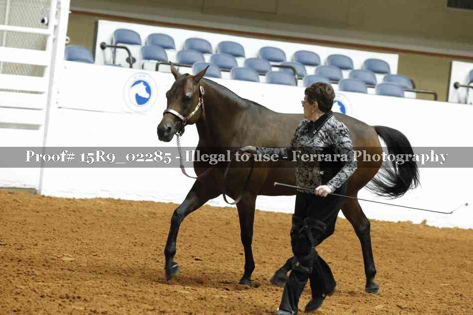 Proof 15R9_02285