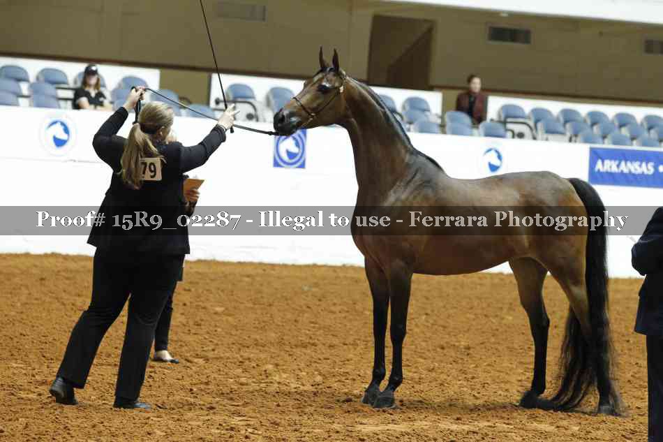 Proof 15R9_02287