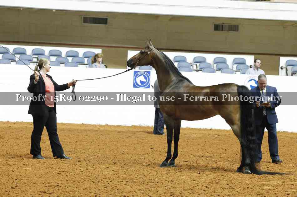 Proof 15R9_02290