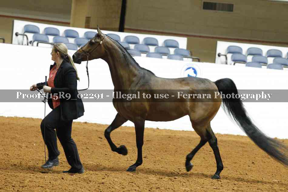 Proof 15R9_02291