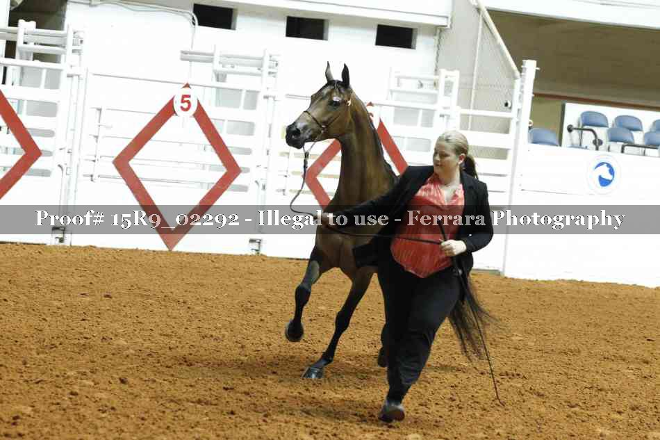 Proof 15R9_02292