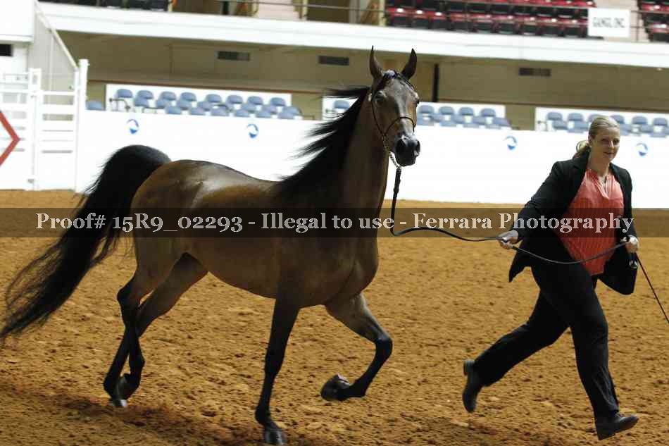 Proof 15R9_02293