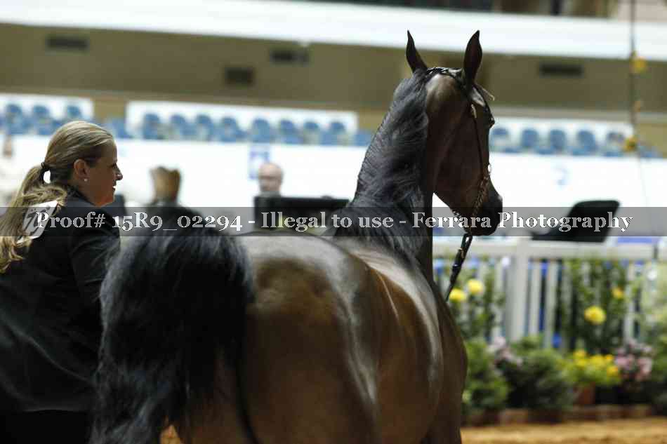 Proof 15R9_02294