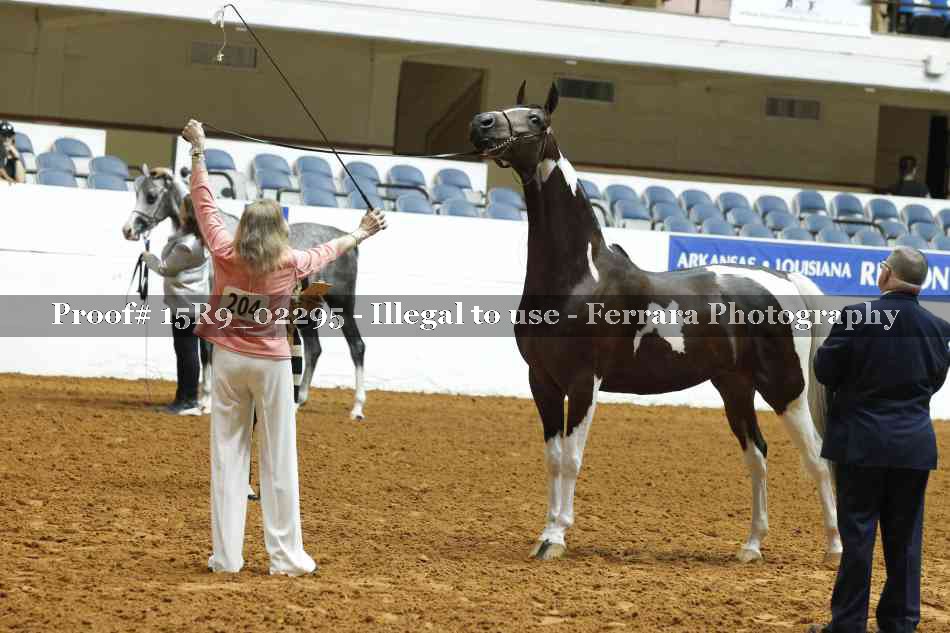 Proof 15R9_02295