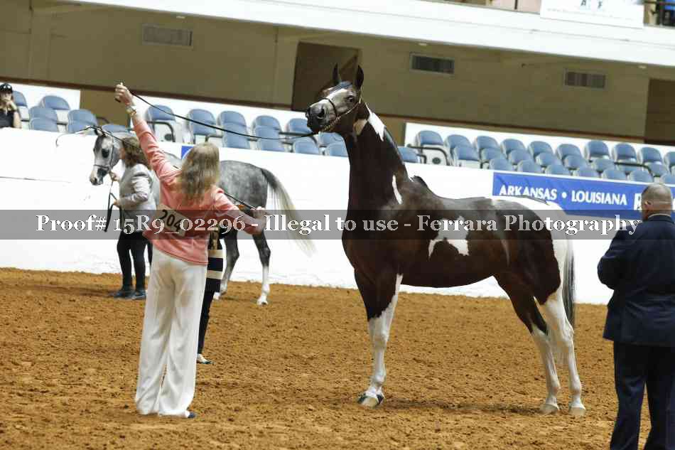 Proof 15R9_02296