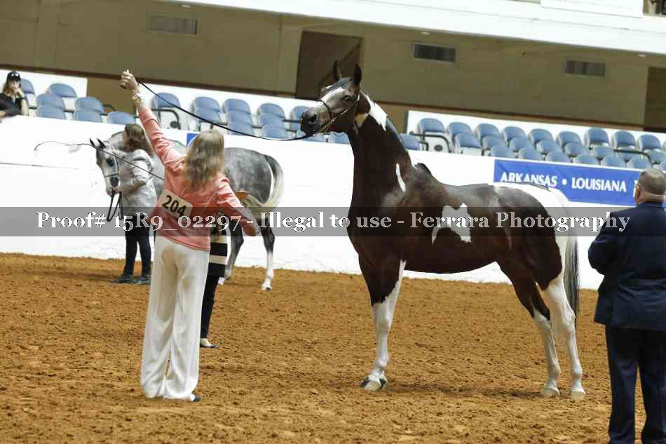 Proof 15R9_02297