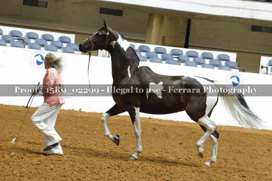 Proof 15R9_02299