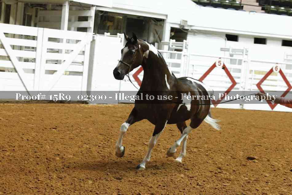 Proof 15R9_02300