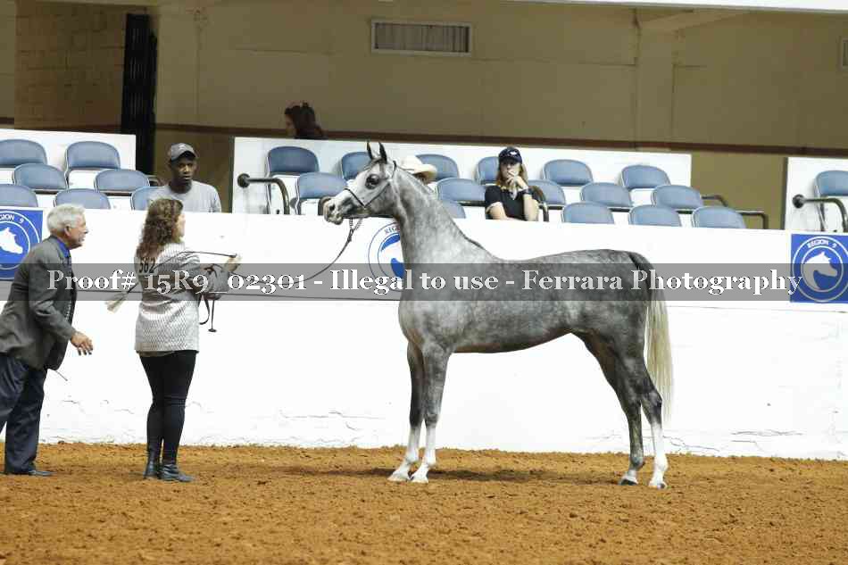 Proof 15R9_02301