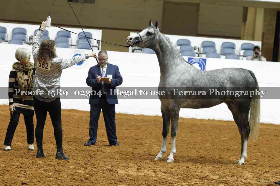 Proof 15R9_02304
