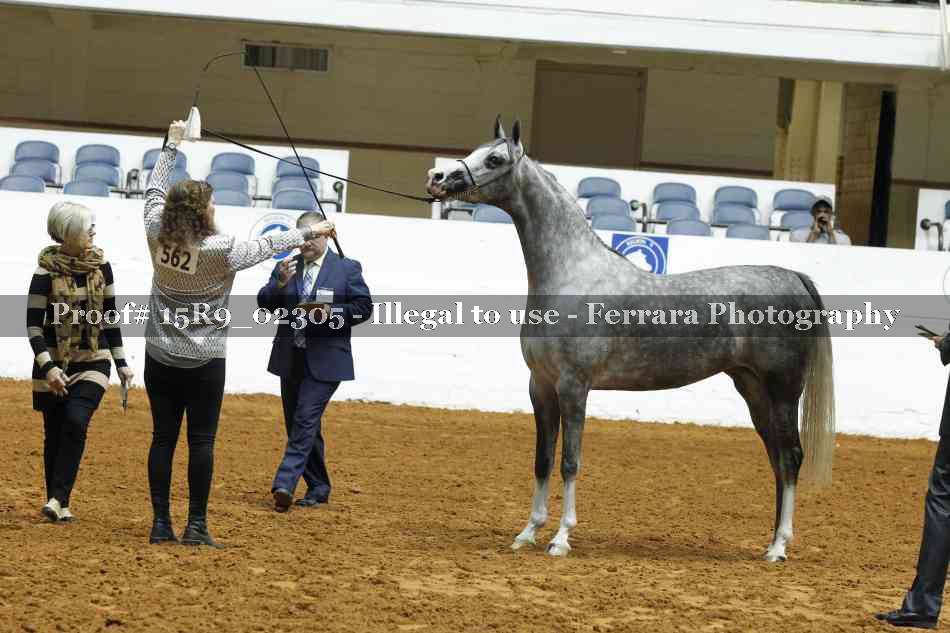 Proof 15R9_02305