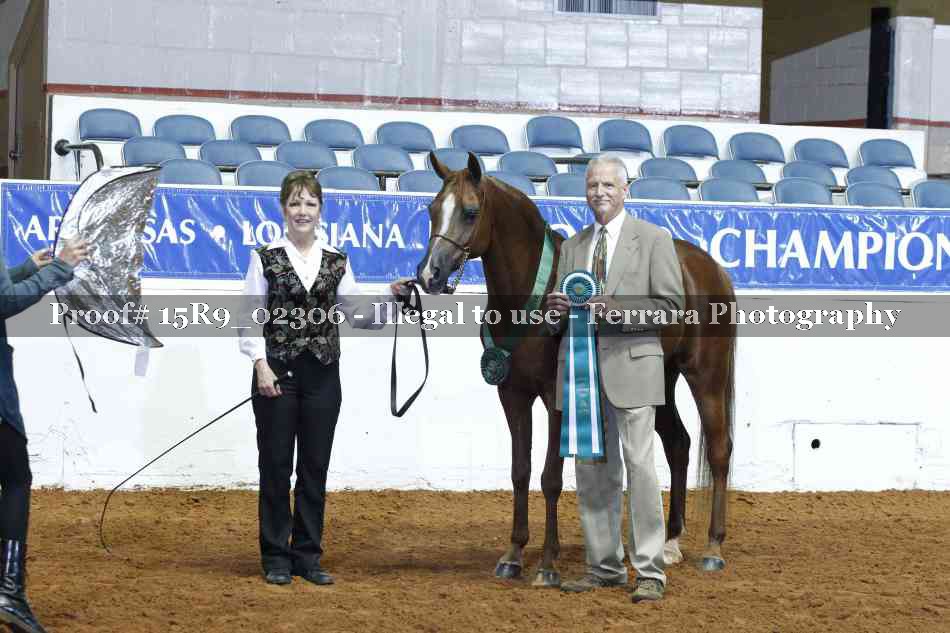 Proof 15R9_02306