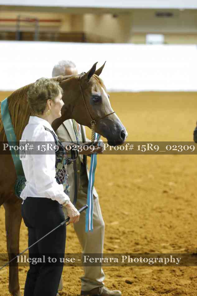 Proof 15R9_02309