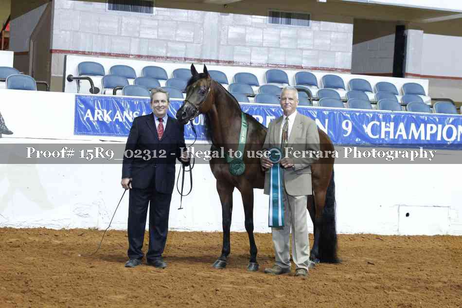 Proof 15R9_02312