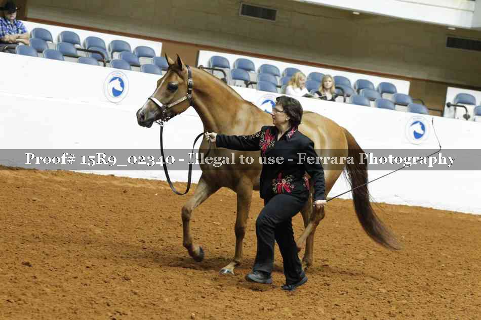 Proof 15R9_02340