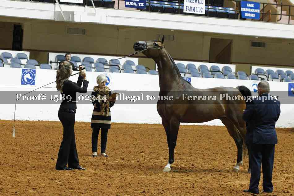 Proof 15R9_02344