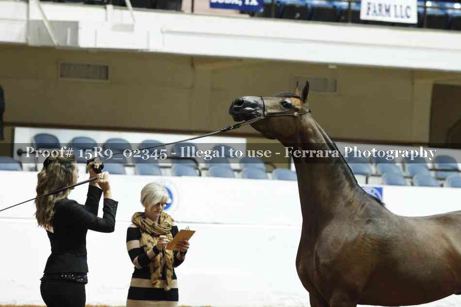 Proof 15R9_02345