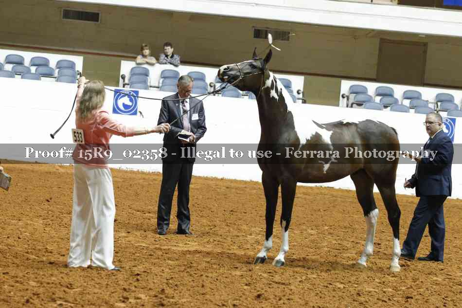 Proof 15R9_02358