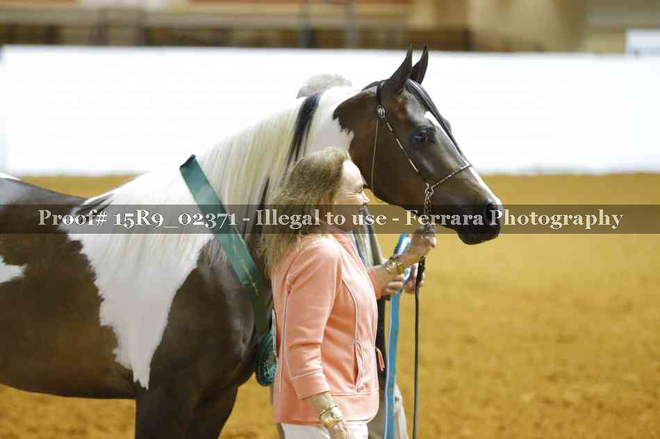Proof 15R9_02371