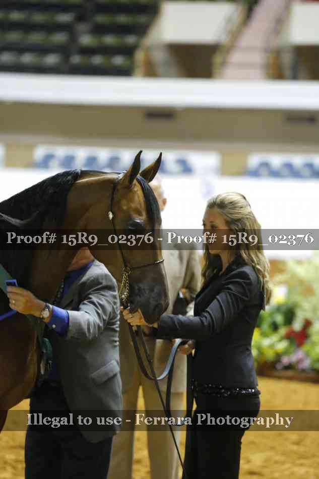 Proof 15R9_02376