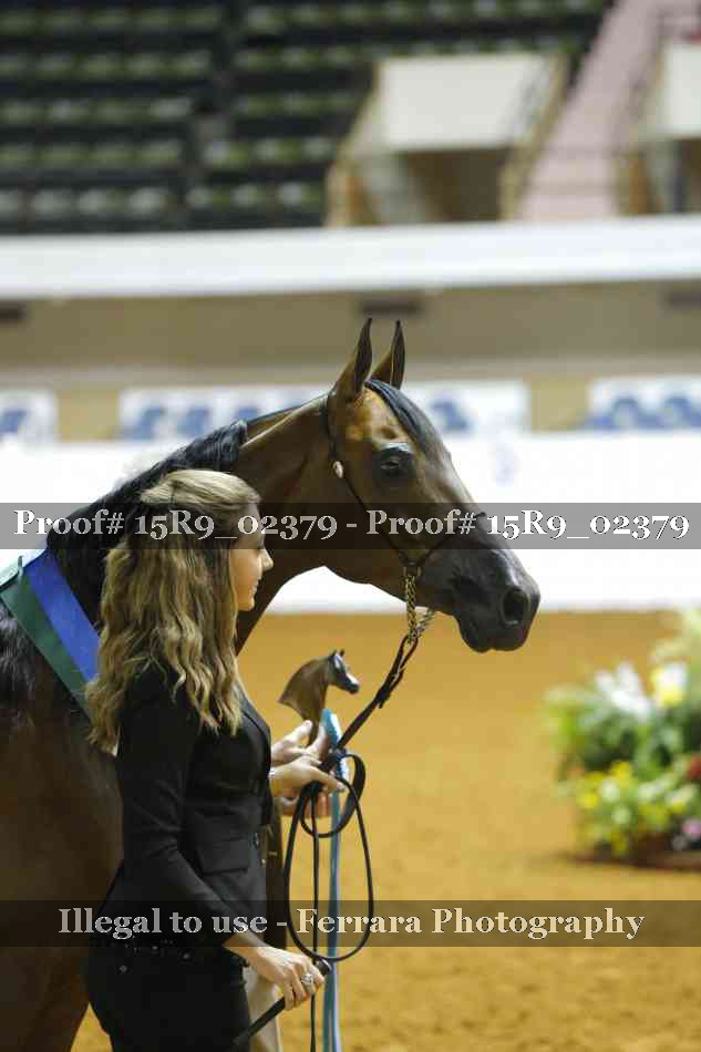 Proof 15R9_02379