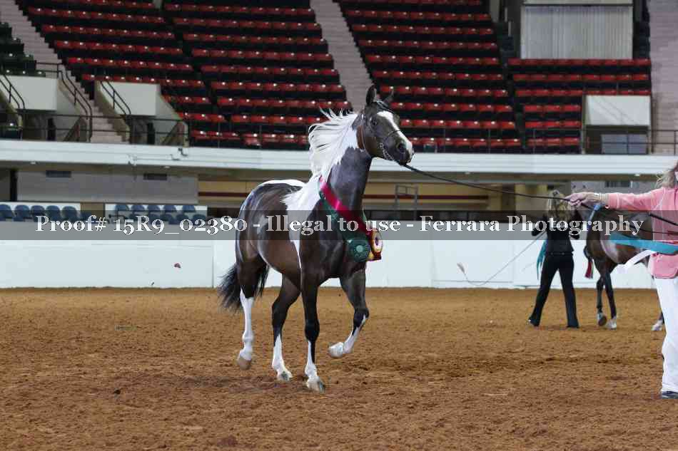 Proof 15R9_02380