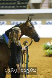 15R9_02382 proof