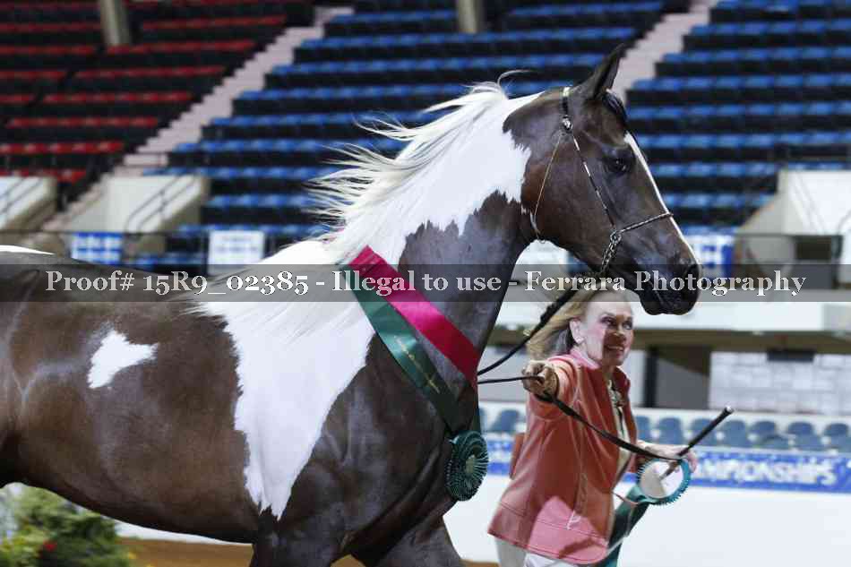 Proof 15R9_02385