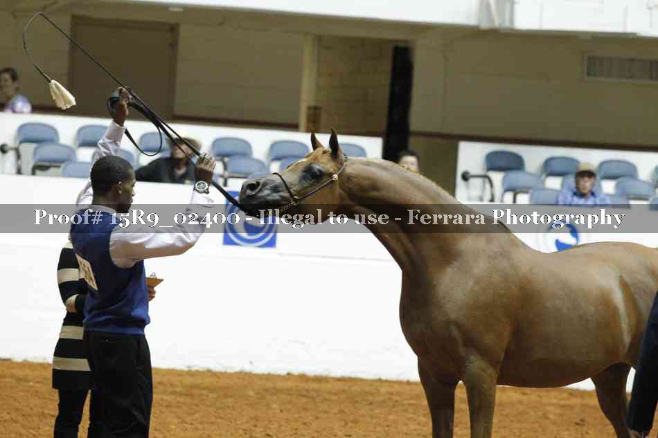 Proof 15R9_02400