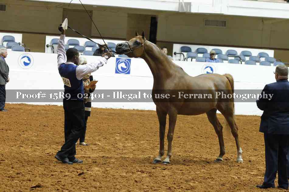 Proof 15R9_02401