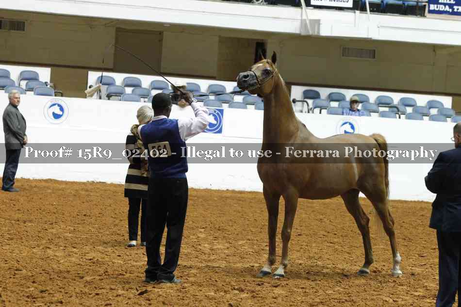 Proof 15R9_02402