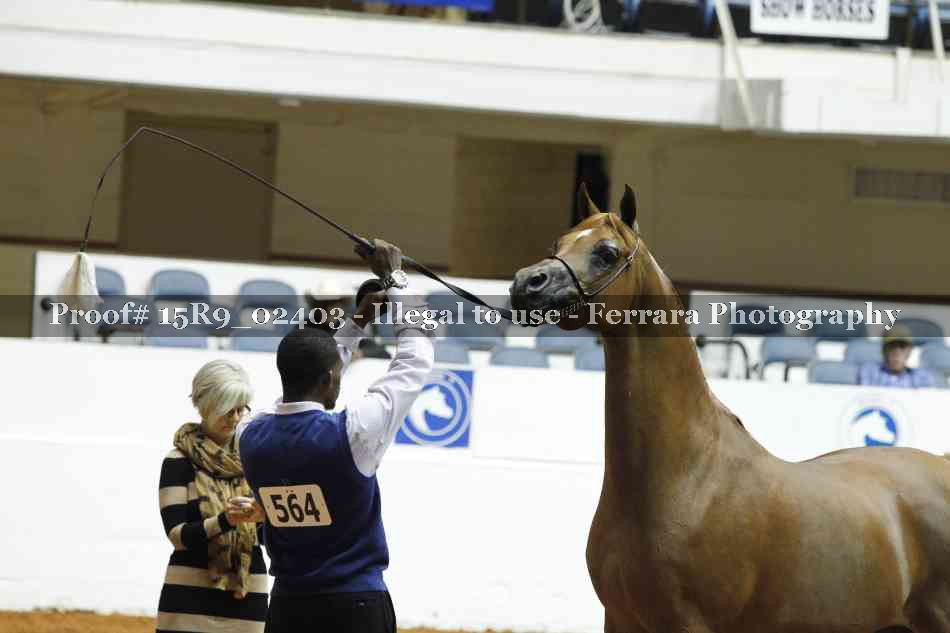 Proof 15R9_02403