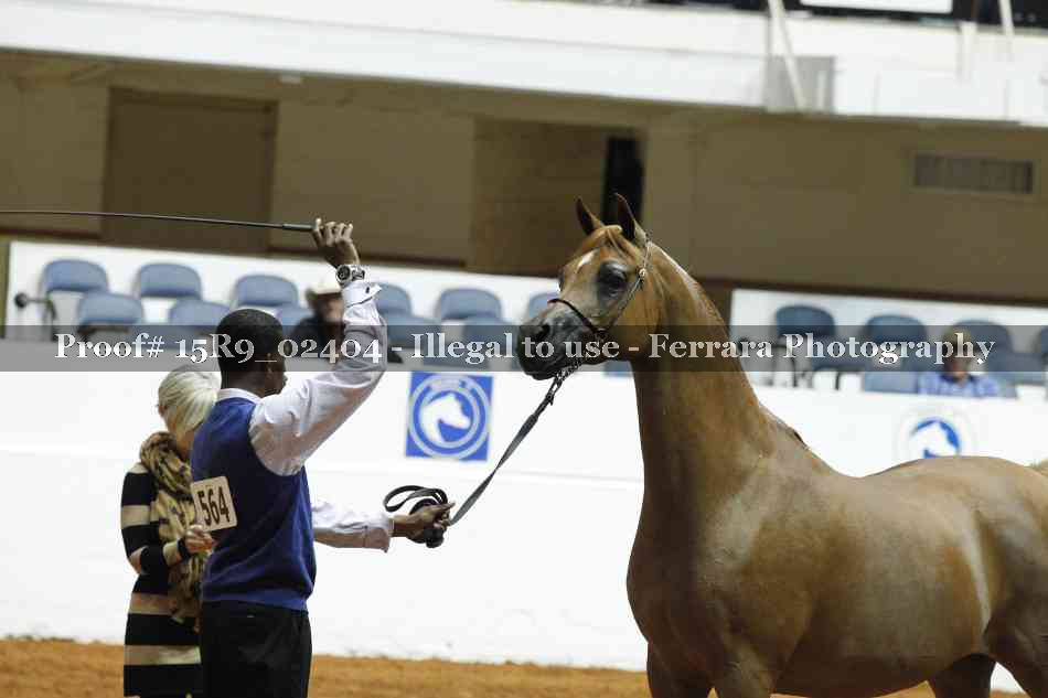 Proof 15R9_02404