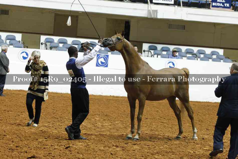 Proof 15R9_02405