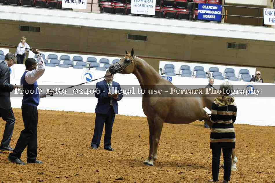 Proof 15R9_02406