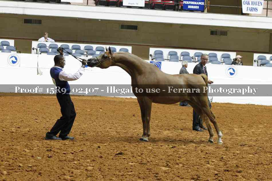 Proof 15R9_02407