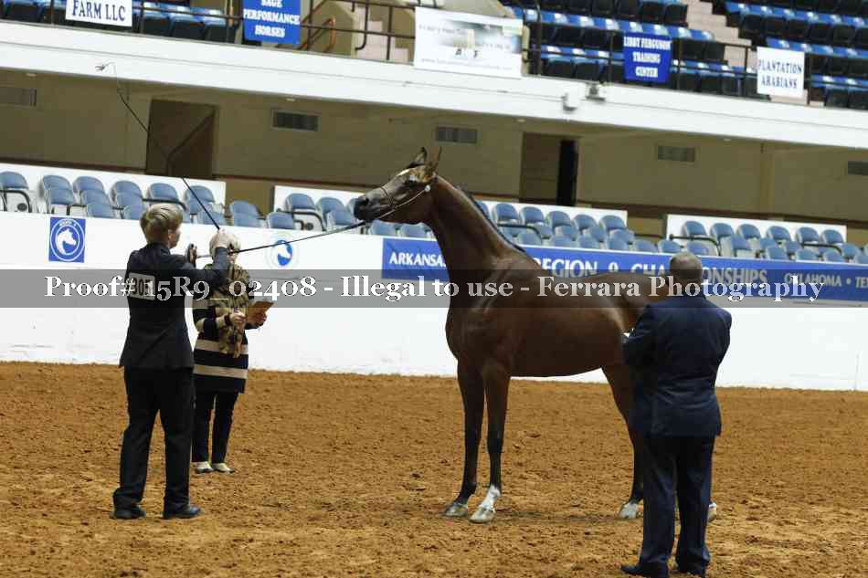 Proof 15R9_02408