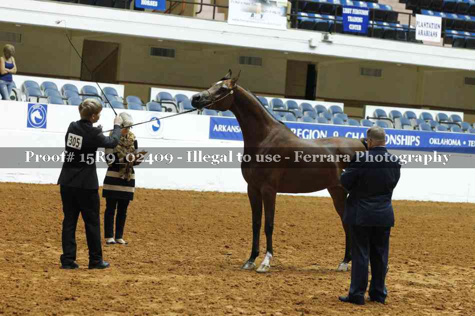 Proof 15R9_02409
