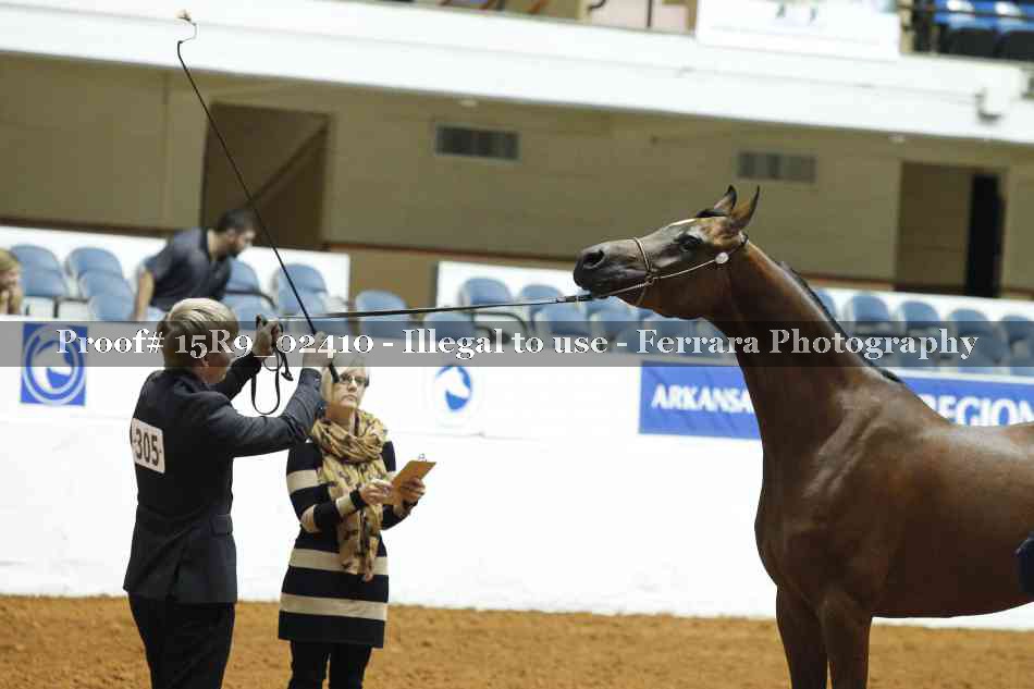 Proof 15R9_02410