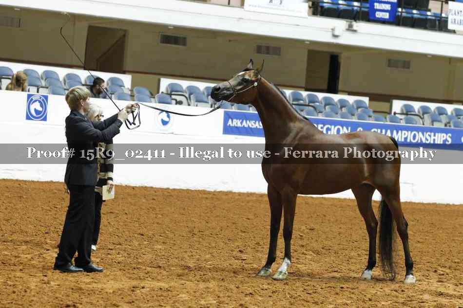 Proof 15R9_02411