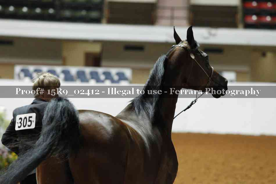 Proof 15R9_02412