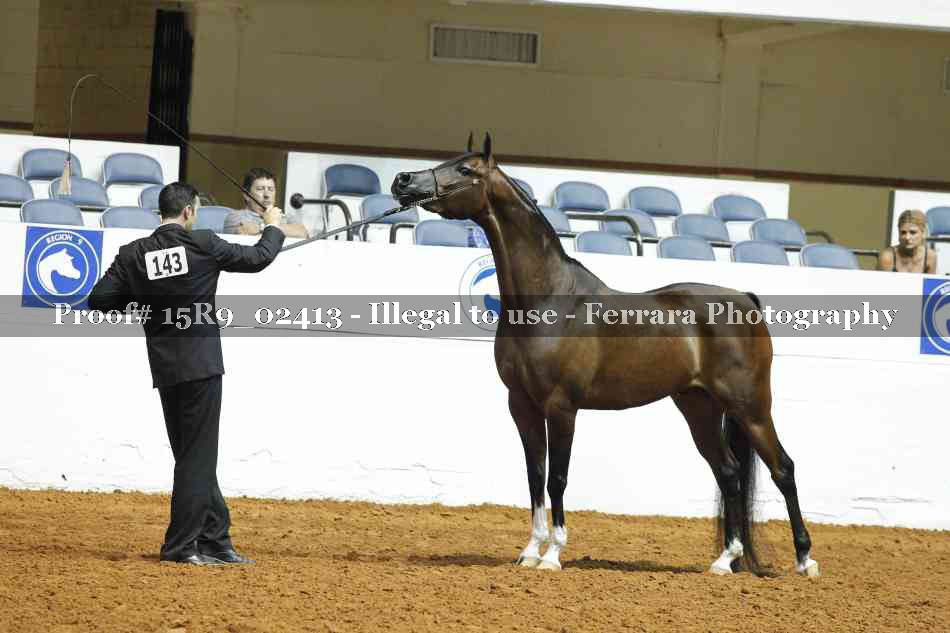 Proof 15R9_02413