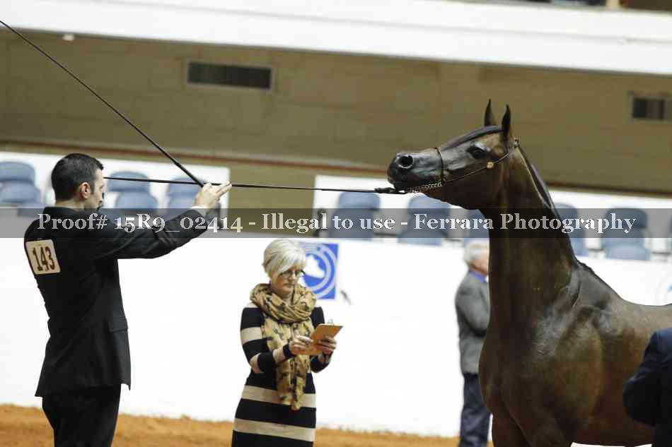 Proof 15R9_02414