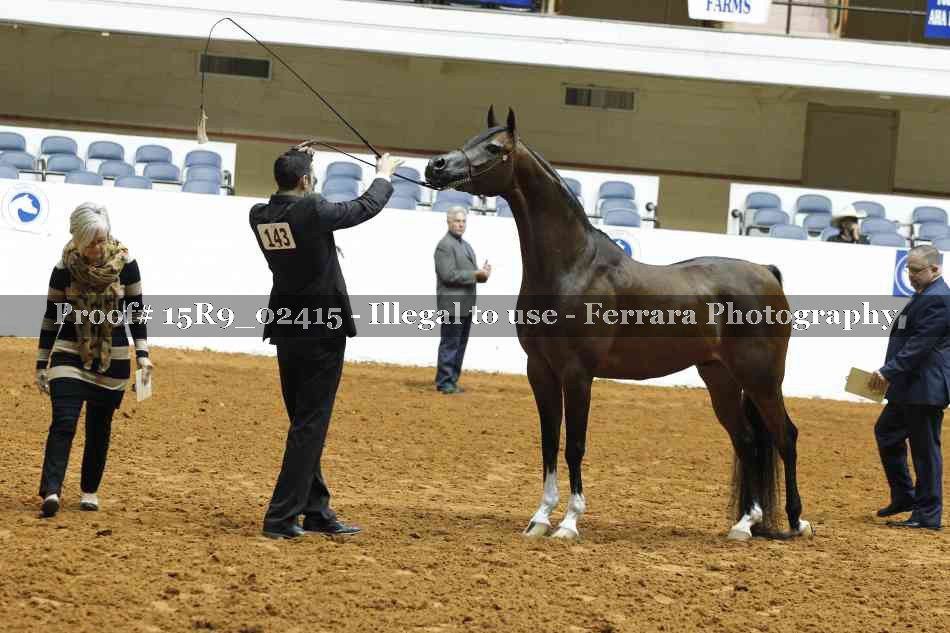Proof 15R9_02415