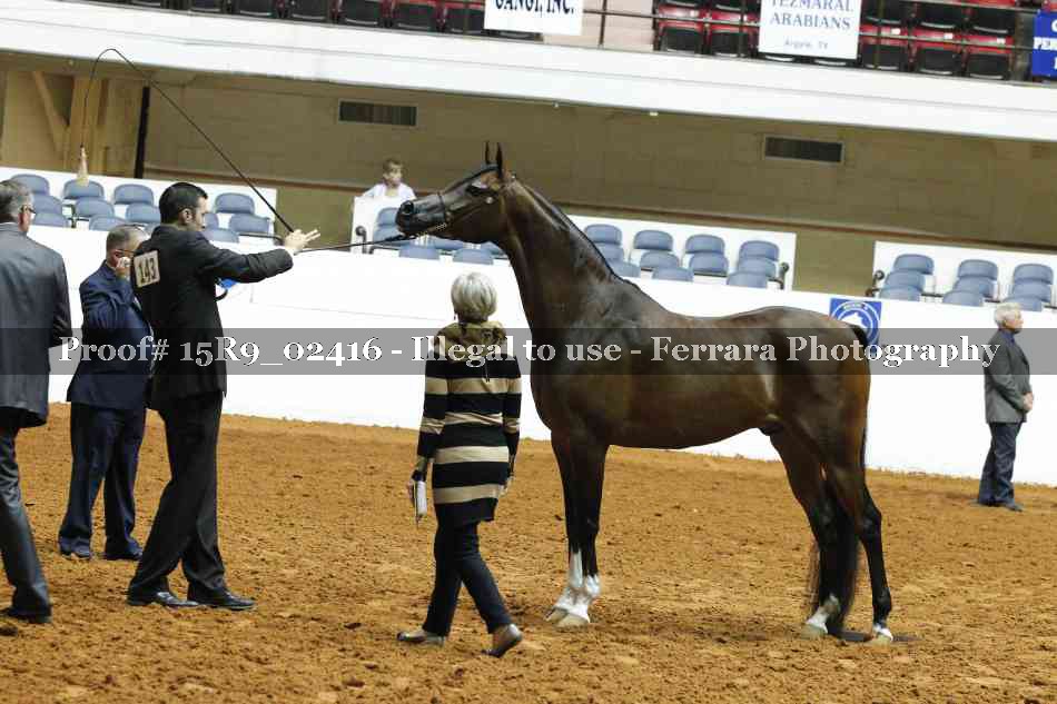 Proof 15R9_02416