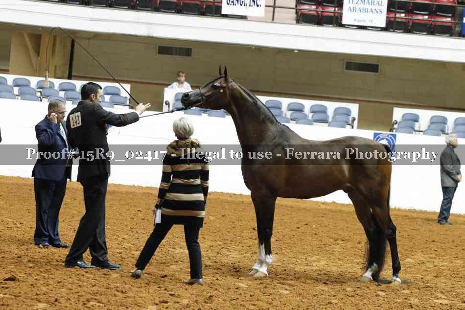 Proof 15R9_02417