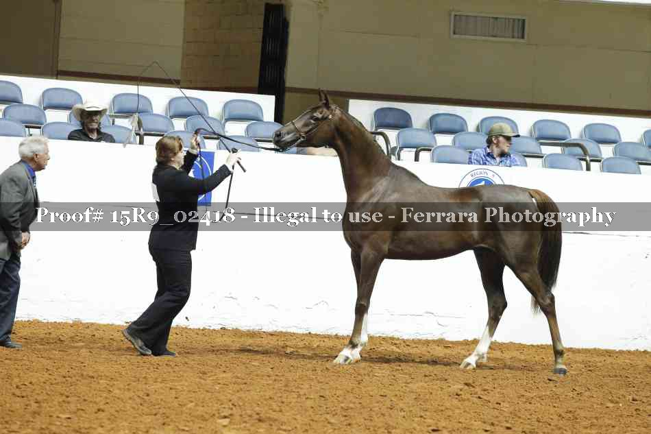 Proof 15R9_02418