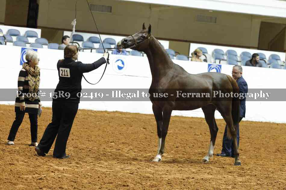 Proof 15R9_02419