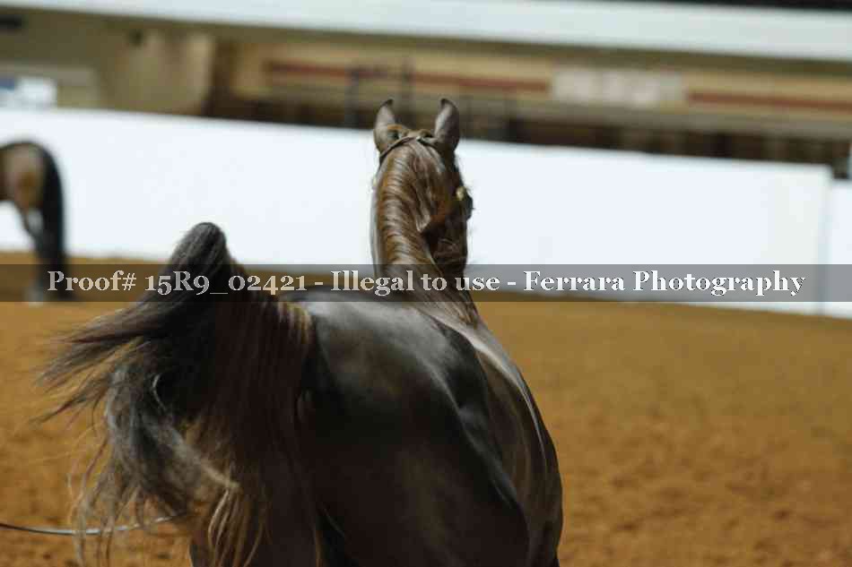 Proof 15R9_02421